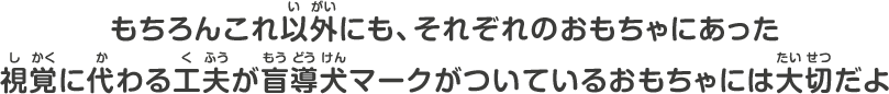 もちろんこれ以外にも、それぞれのおもちゃにあった視覚に代わる工夫が盲導犬マークがついているおもちゃには大切だよ