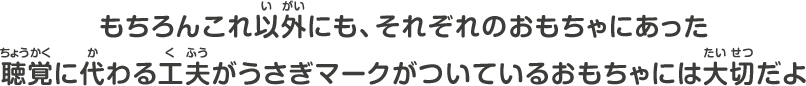 もちろんこれ以外にも、それぞれのおもちゃにあった聴覚に代わる工夫がうさぎマークがついているおもちゃには大切だよ